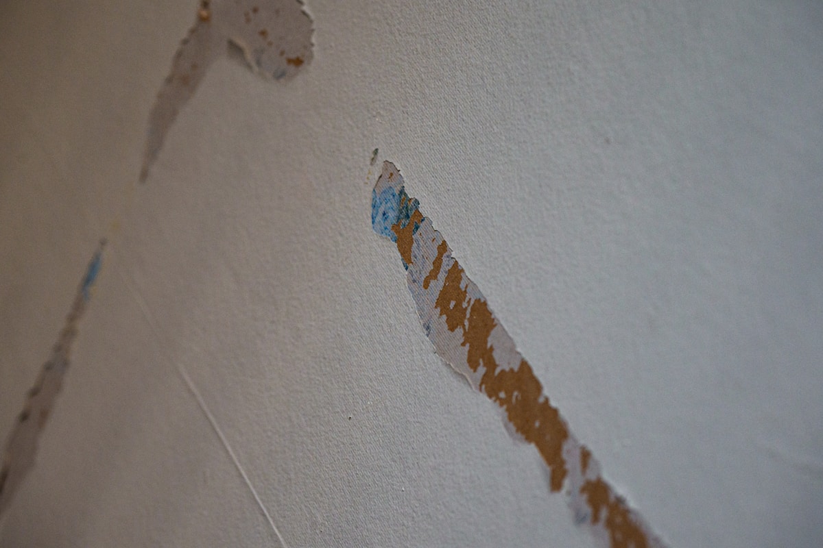 Commercial Water Damage service in Coon Rapids, MN